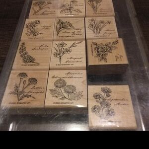 Stampin Up Flowers of the month